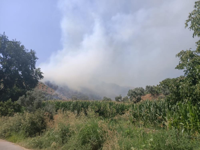 İzmir'de makilik alanda çıkan yangın kontrol altında