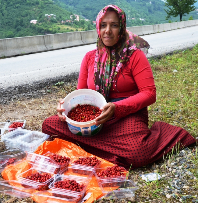 Kilosu 120 TL olan dağ çileğine rağbet büyük Son Dakika Haberleri