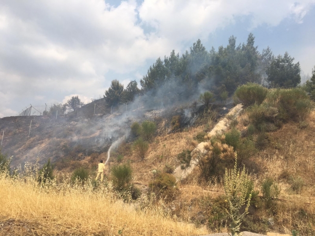 İzmir'deki orman yangını kontrol altına alındı