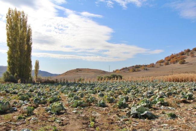 Fotoğraf: İHA