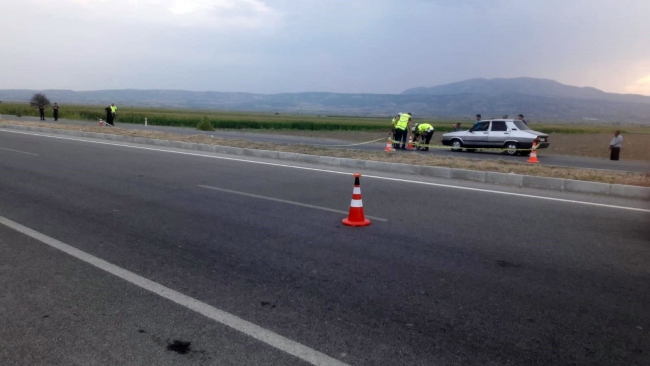 Kaplumbağayı kurtarmak isterken canından oldu