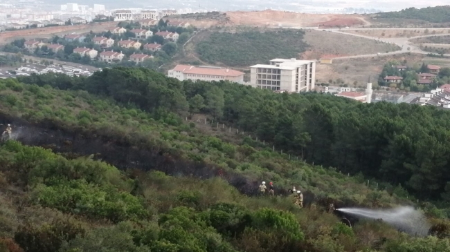 İstanbul'un Pendik ilçesinde çıkan orman yangını itfaiye ekiplerinin müdahalesiyle kısa sürede söndürüldü. Fotoğraf: DHA