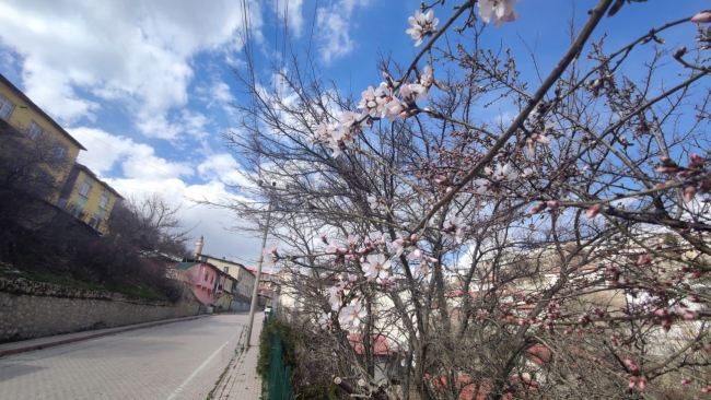 Tunceli’de çiftçilerin don tedirginliği