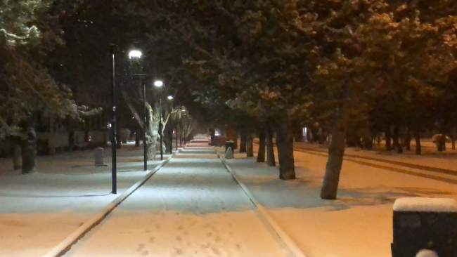 Erzurum’da kar yağışı çevreyi beyaza bürüdü