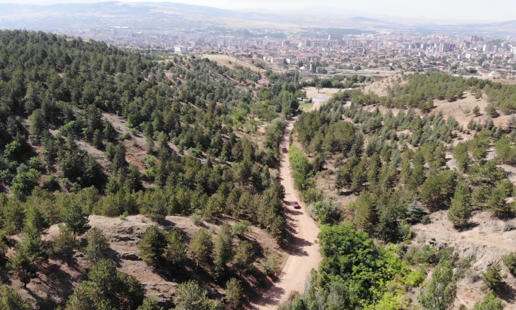 Keskin gözler doğanın üzerinde: 1760 rakımlı zirvede yangın nöbeti