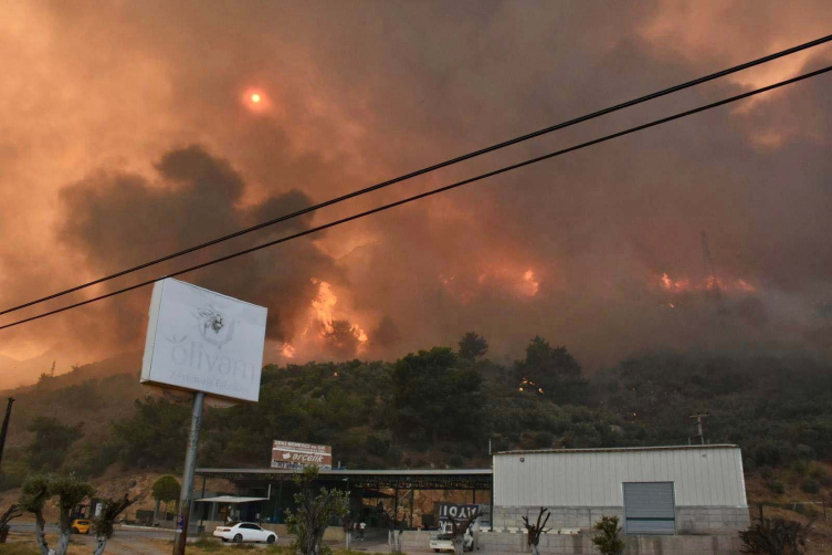 Muğla ve Aydın'daki orman yangınları kontrol altına alındı