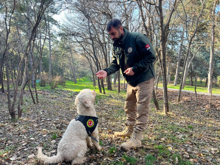 Bakanlığın dedektör köpekleriyle 4,1 ton uyuşturucu ele geçirildi