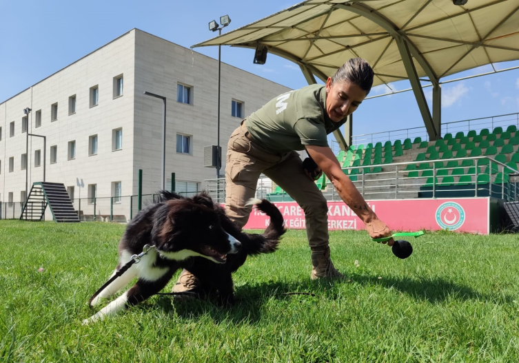 Bakanlığın dedektör köpekleriyle 4,1 ton uyuşturucu ele geçirildi