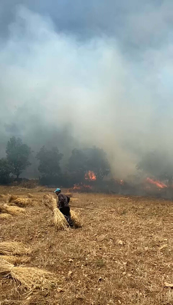 Balıkesir'de orman yangını