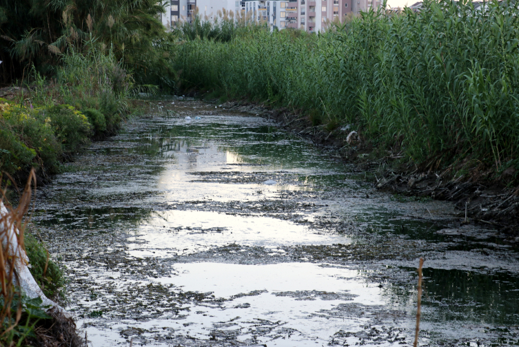 Fotoğraf: DHA