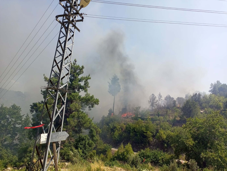 Muğla'da evde başlayıp ormana sıçrayan yangın söndürüldü