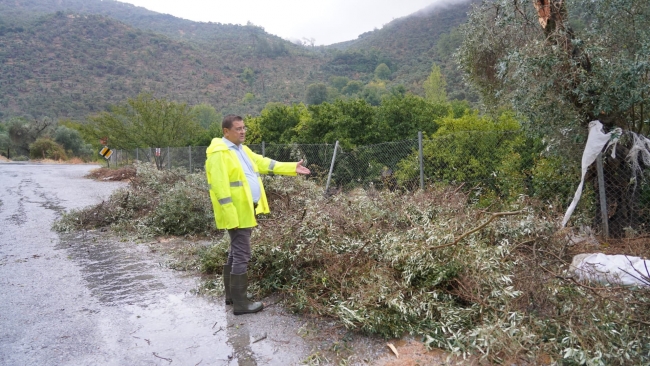 Milas'ta fırtına: Bazı evlerin çatısı uçtu, elektrik direkleri devrildi