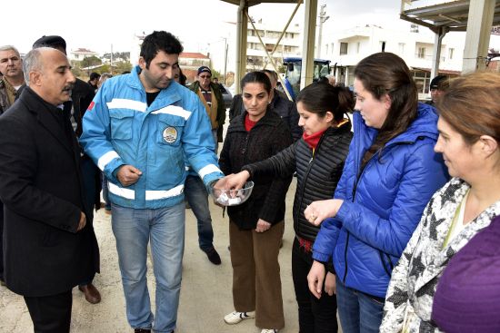 Kadın çiftçilere büyükbaş hayvan hibe edildi