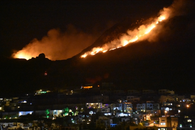 Bodrum'da makilik alanda yangın çıktı