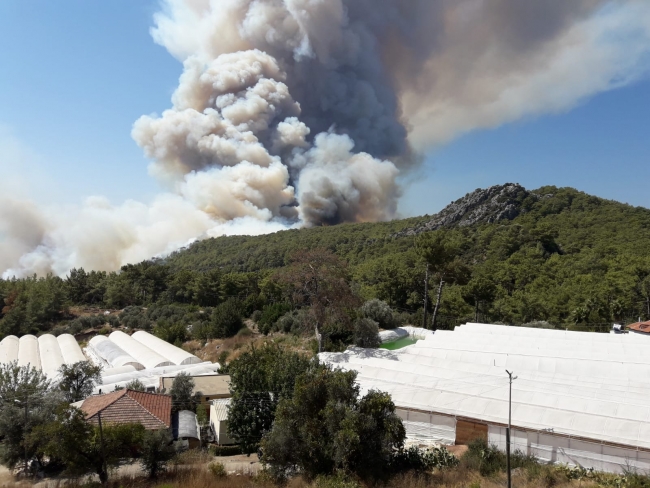 Antalya'da orman yangını kontrol altına alındı