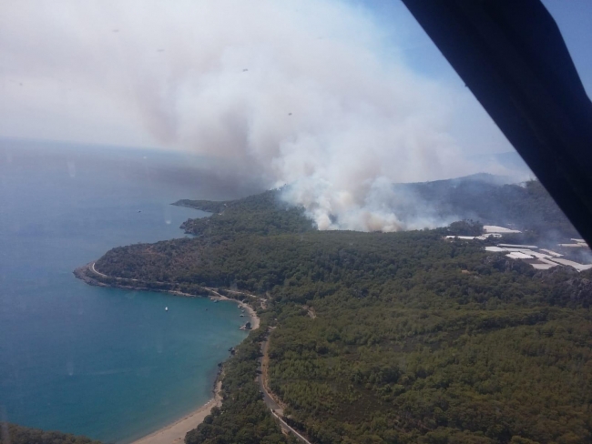 Antalya'da orman yangını kontrol altına alındı