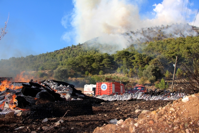 Antalya'da iki ayrı orman yangını