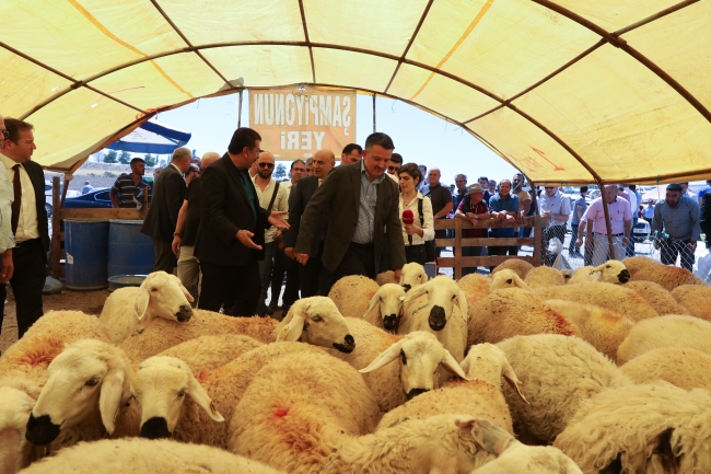 Bakan Pakdemirli: Kurban pazarlarında her türlü tedbiri aldık