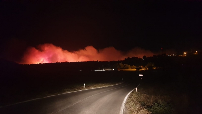 Çanakkale'de orman yangını