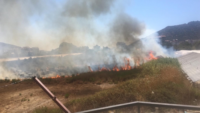 Antalya'da sera yangını