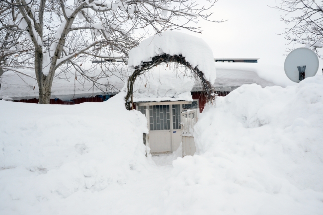 Bitlis'te tek katlı evler kara gömüldü