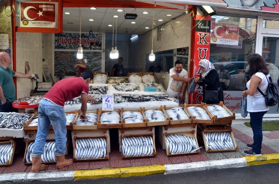 Sinoplu balıkçılar bir gecede 7 bin kasa palamut avladı