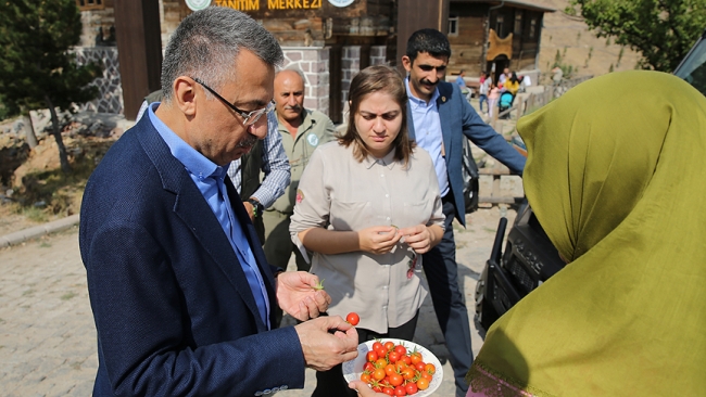 Cumhurbaşkanı Yardımcısı Oktay, Altınköy Açık Hava Müzesi'ni ziyaret etti