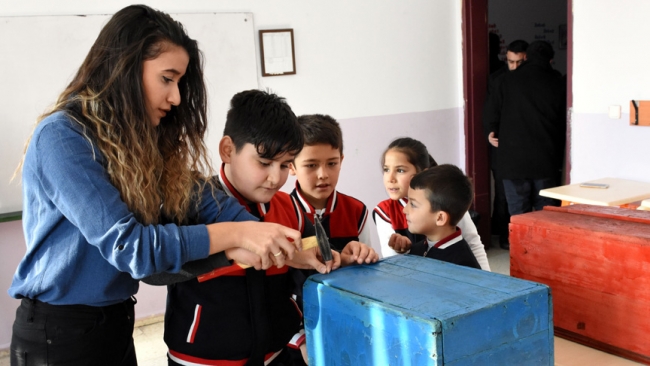 Eski seçim sandıkları hayvanlara yuva oldu