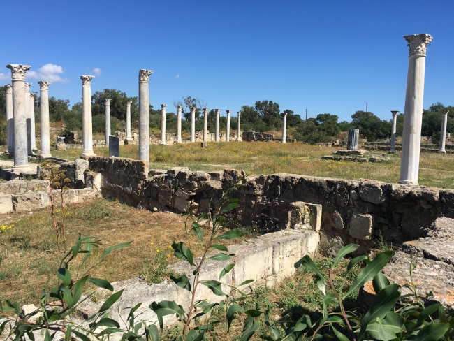 Kıbrıs'ta unutulmuş bir antik kent: Salamis