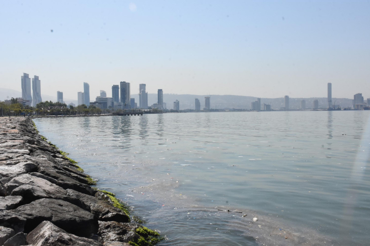 İzmir'de ölü balıklar kıyıya vurdu: Çevredekiler kötü kokudan rahatsız