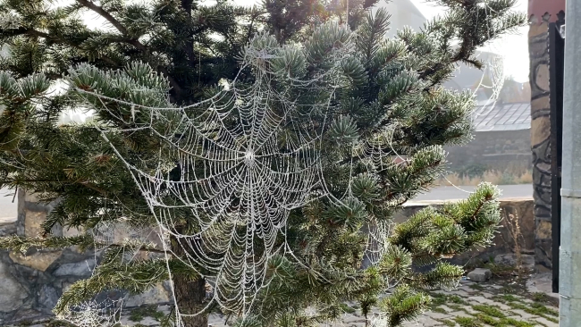 Fotoğraf: TRT Haber