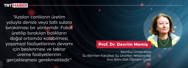 Balık stokları için öncelik su kalitesi