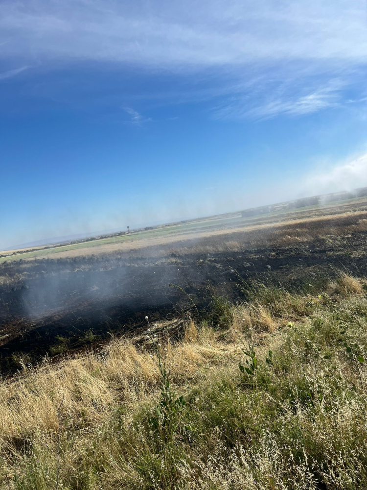 Şırnak'ta tarım arazisinde yangın