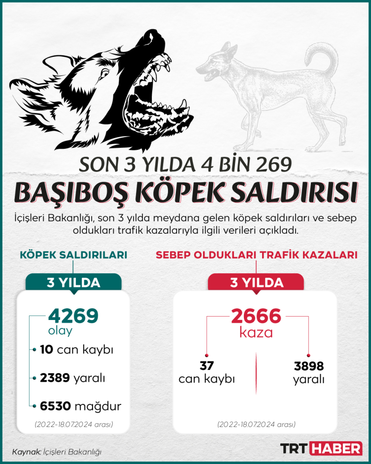 2022’den bu yana 4 bin 269 köpek saldırısı kayıtlara geçti