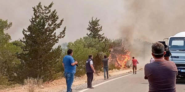 KKTC’deki yangına Türkiye'den yardım