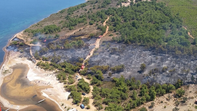 Balıkesir Ayvalık'ta orman yangını