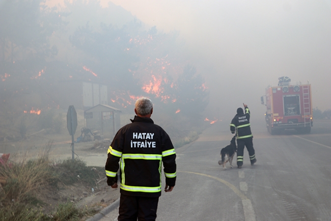 Hatay'da çıkan orman yangını 3 ilçeye yayıldı