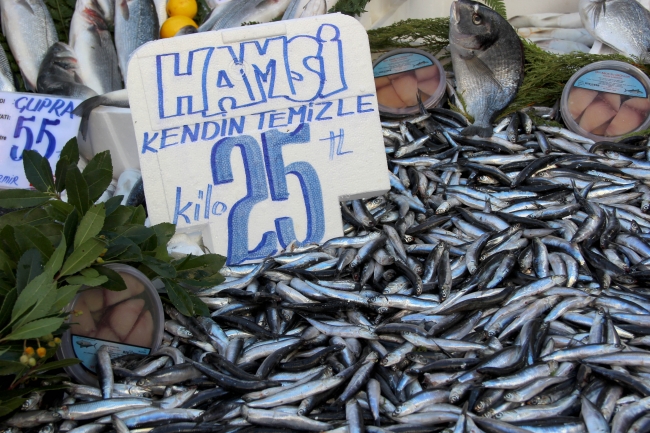 Hamsinin fiyatı düşüşe geçti