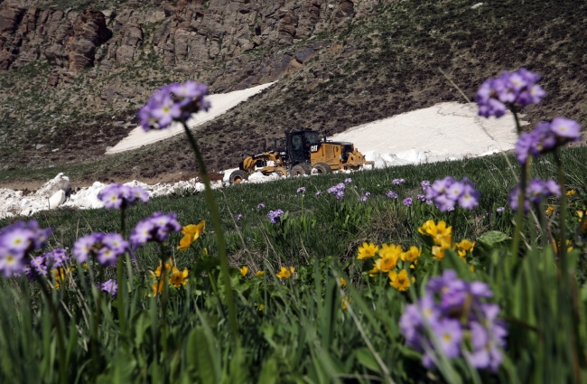 Fotoğraf: TRT Haber