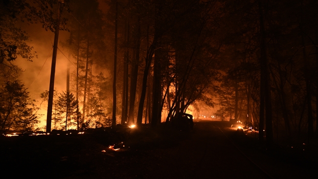 California'da orman yangınları 21 gündür sürüyor