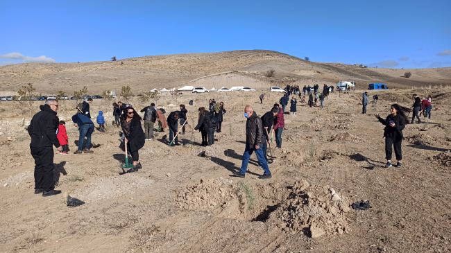 Kahramankazan'da ağaçlandırma sahasına 2 bin fidan dikildi