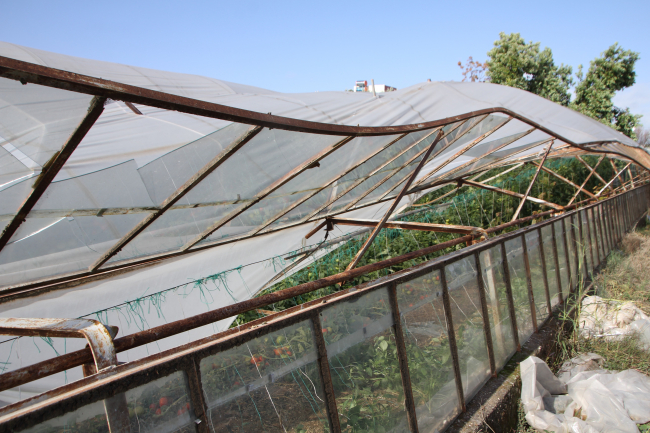 Antalya'da selden etkilenen sera ve tarım arazilerinde hasar tespiti yapılıyor