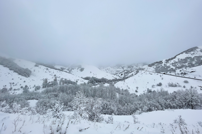 Tunceli'de kar kalınlığı 15 santimetreye ulaştı