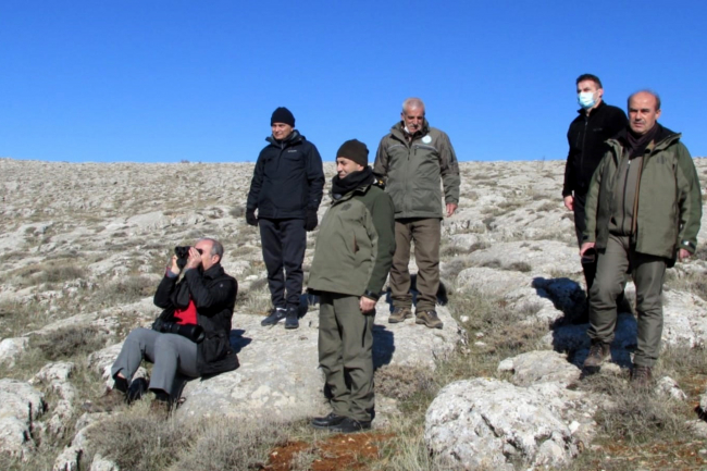 Elazığ'da yaban keçilerinin sayısında artıyor