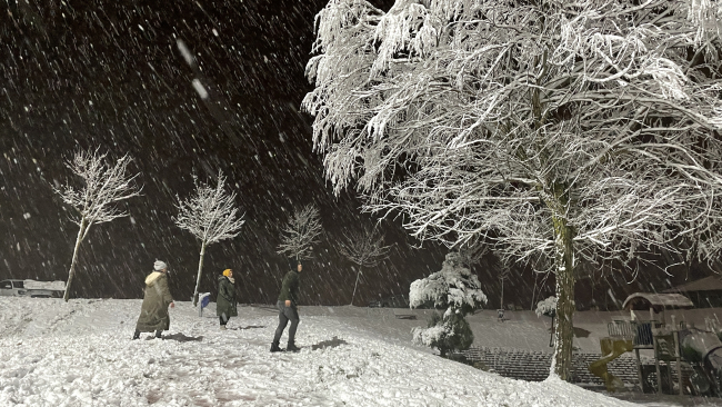 Sakarya'da kar yağışı başladı