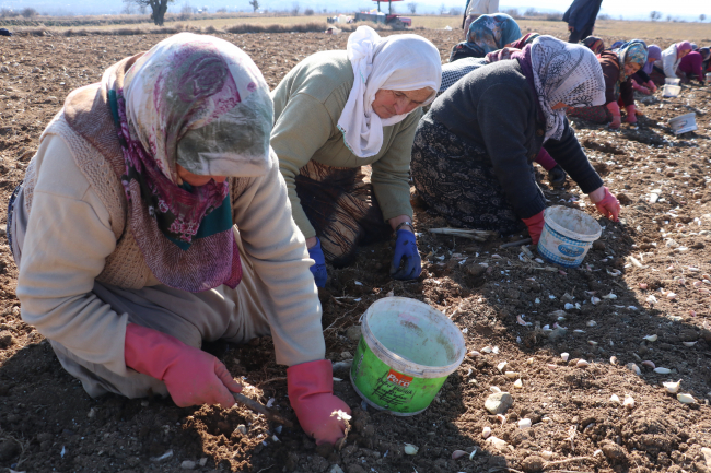 Fotoğraf: AA