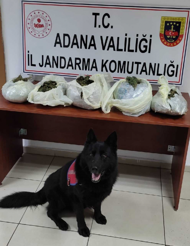 Adana'da uyuşturucu operasyonu: 5 gözaltı