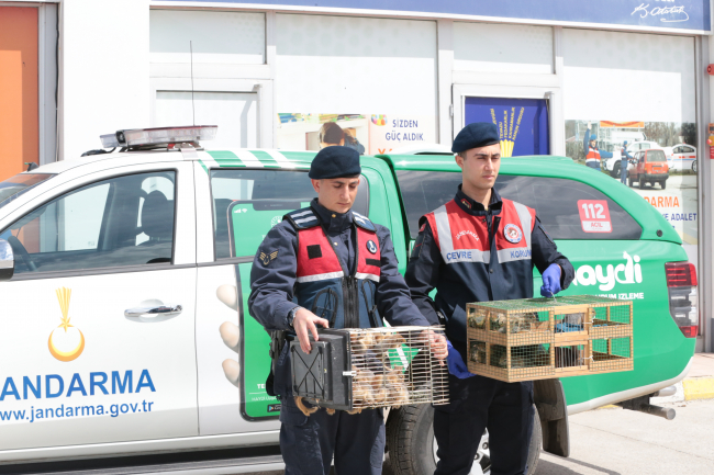 Yolcu otobüsünde 63 sincap yavrusu ele geçirildi