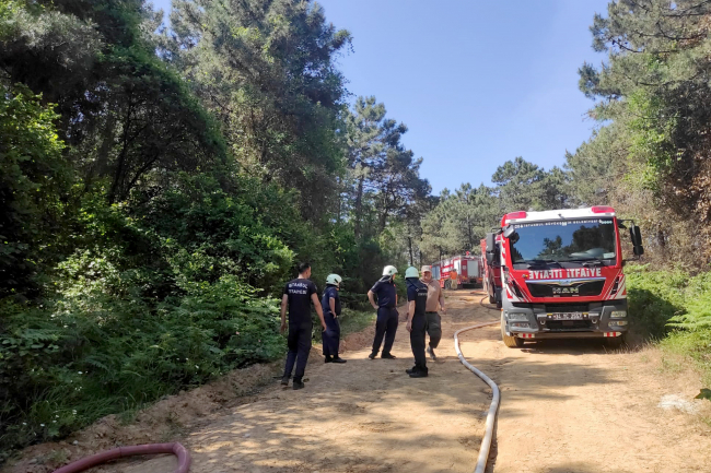 İstanbul'da ormanlık alanda yangın