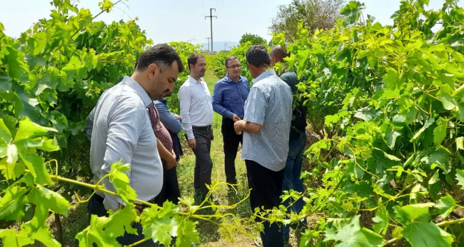 3 ilde sağanak ve dolu etkili: Camlar kırıldı, üzüm bağları zarar gördü